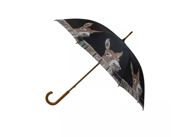Paraplu hout ezel